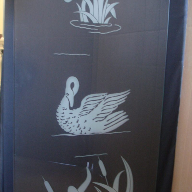 Swan1 Swan1